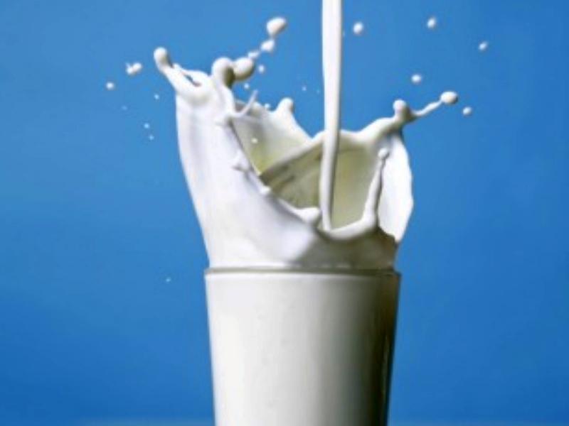 Himachal first to procure cow, buffalo milk on MSP