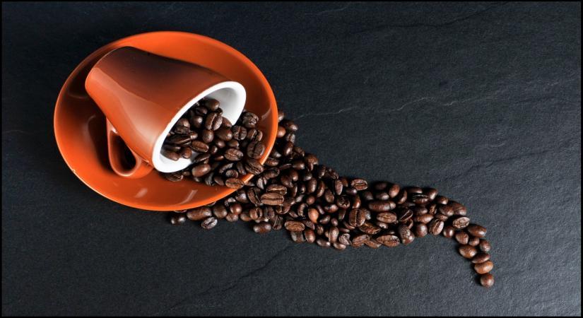 India’s coffee exports more than double in last 11 years