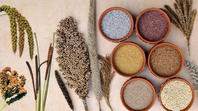 Rs 793 crore approved under PLI for millet processing, 4,612 micro units supported: Govt