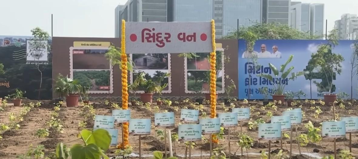 PM Modi hails grassroots green initiatives, calls 'Ek Ped Maa Ke Naam' movement for future generations