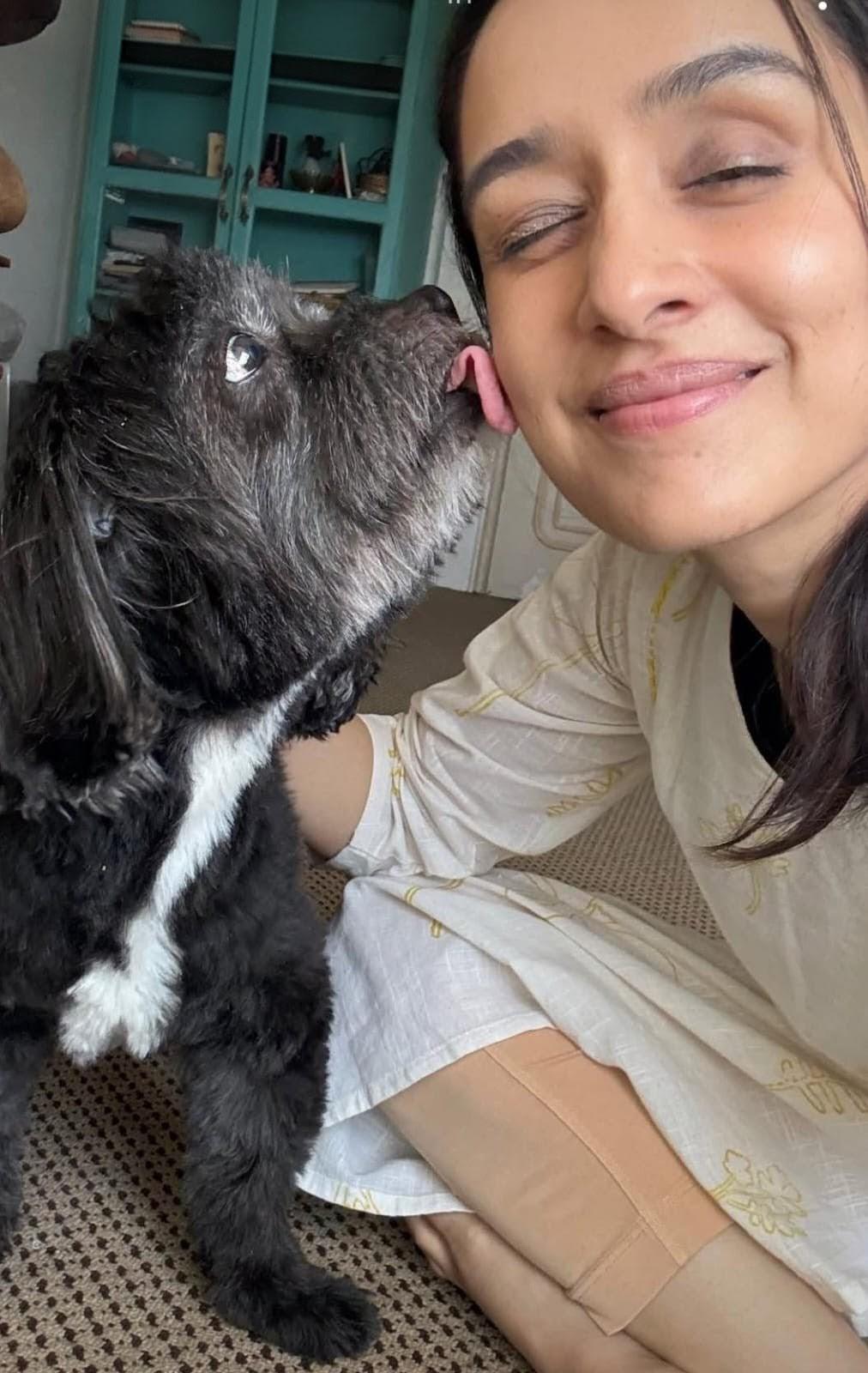 Shraddha Kapoor celebrates pet Shyloh’s 15th birthday, treats him with a special cake