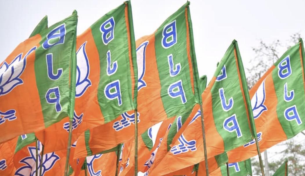 Chhattisgarh: BJP suspends Durg leader over alleged illegal opium cultivation