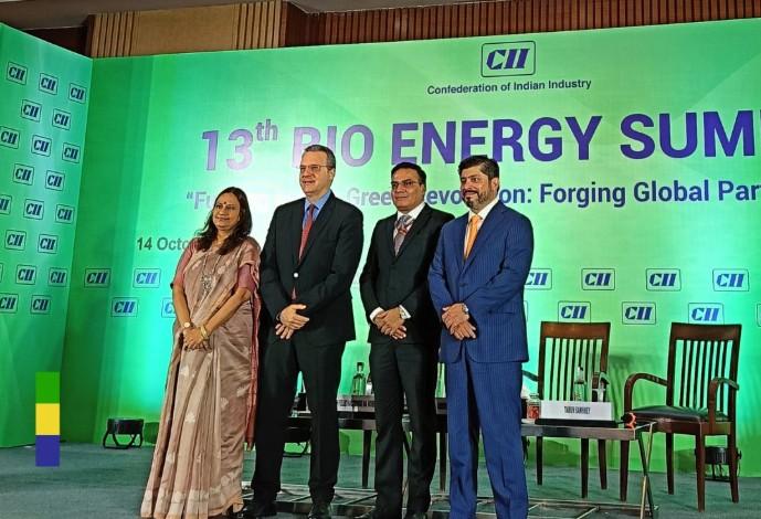 India can exceed 20 pc ethanol blending: Govt official