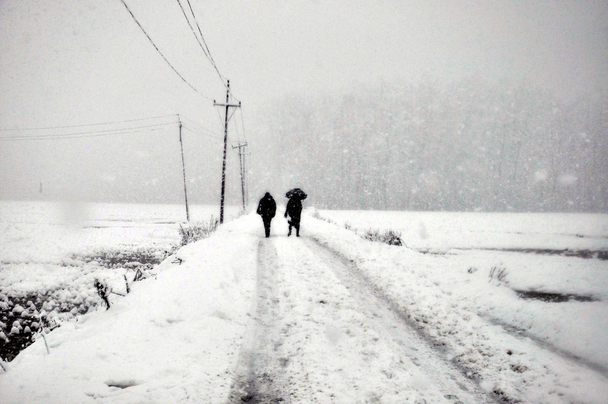 Rain lashes plains as snowfall occurs in some higher reaches of J&K