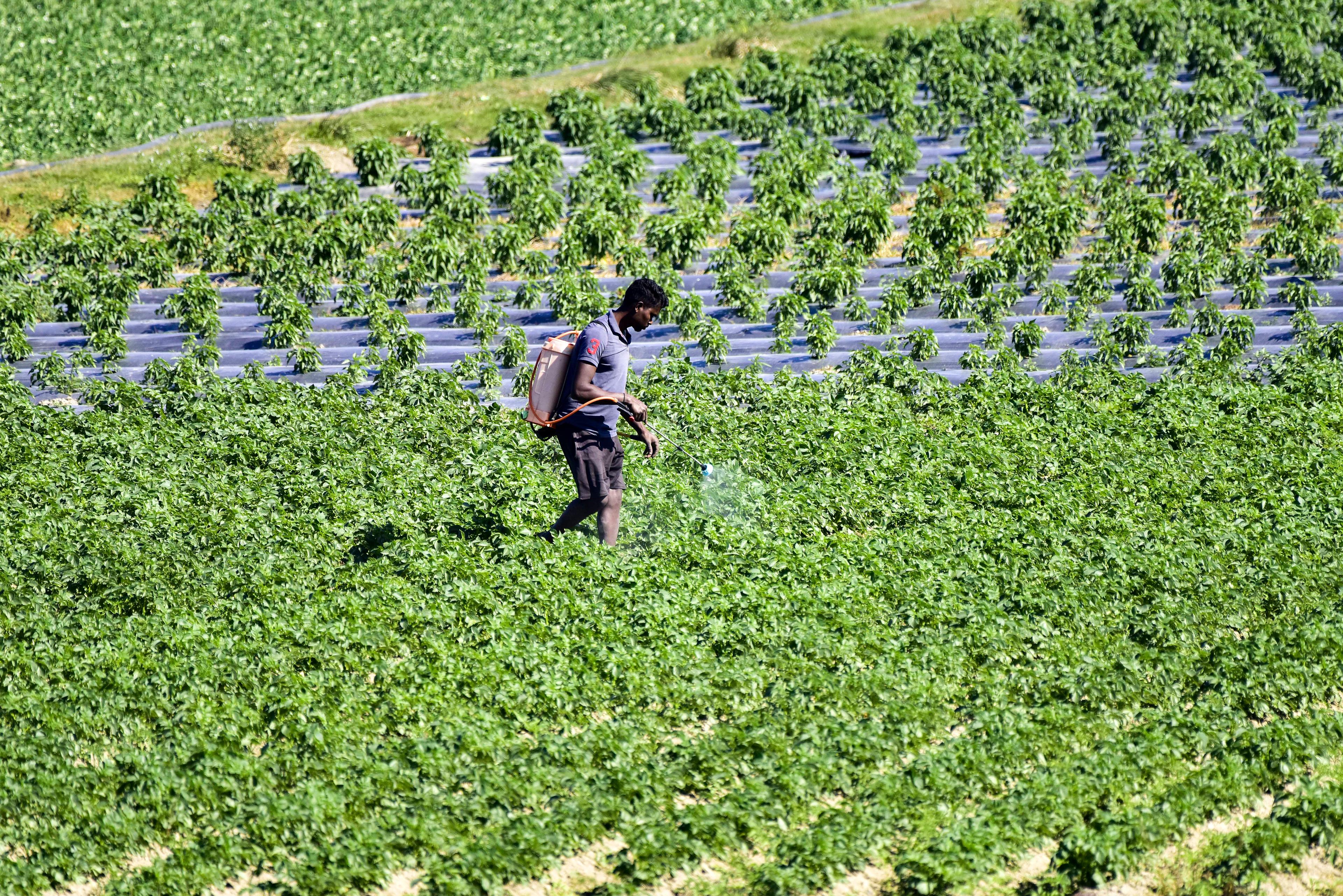 Agriculture must play a central role in national transformation: Niti Aayog report