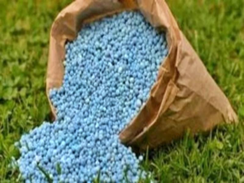 Oppn BJD, Cong target Odisha govt over 'fertiliser crisis' in state