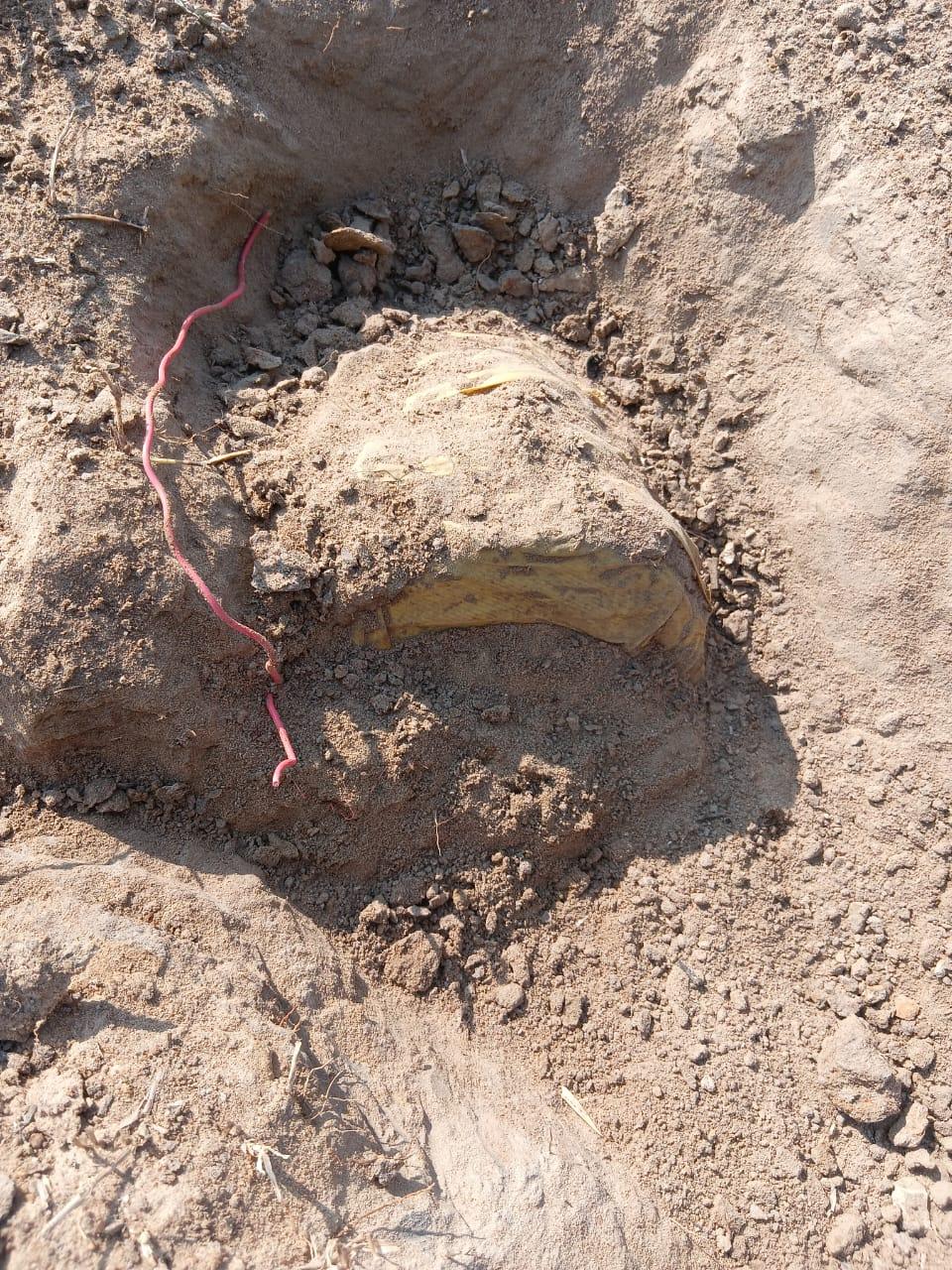 Security forces neutralise 10-kg IED planted by Maoists in Chhattisgarh