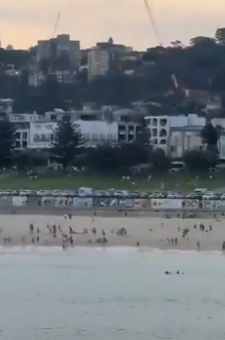 Israeli President condemns attack on Jewish community event in Sydney