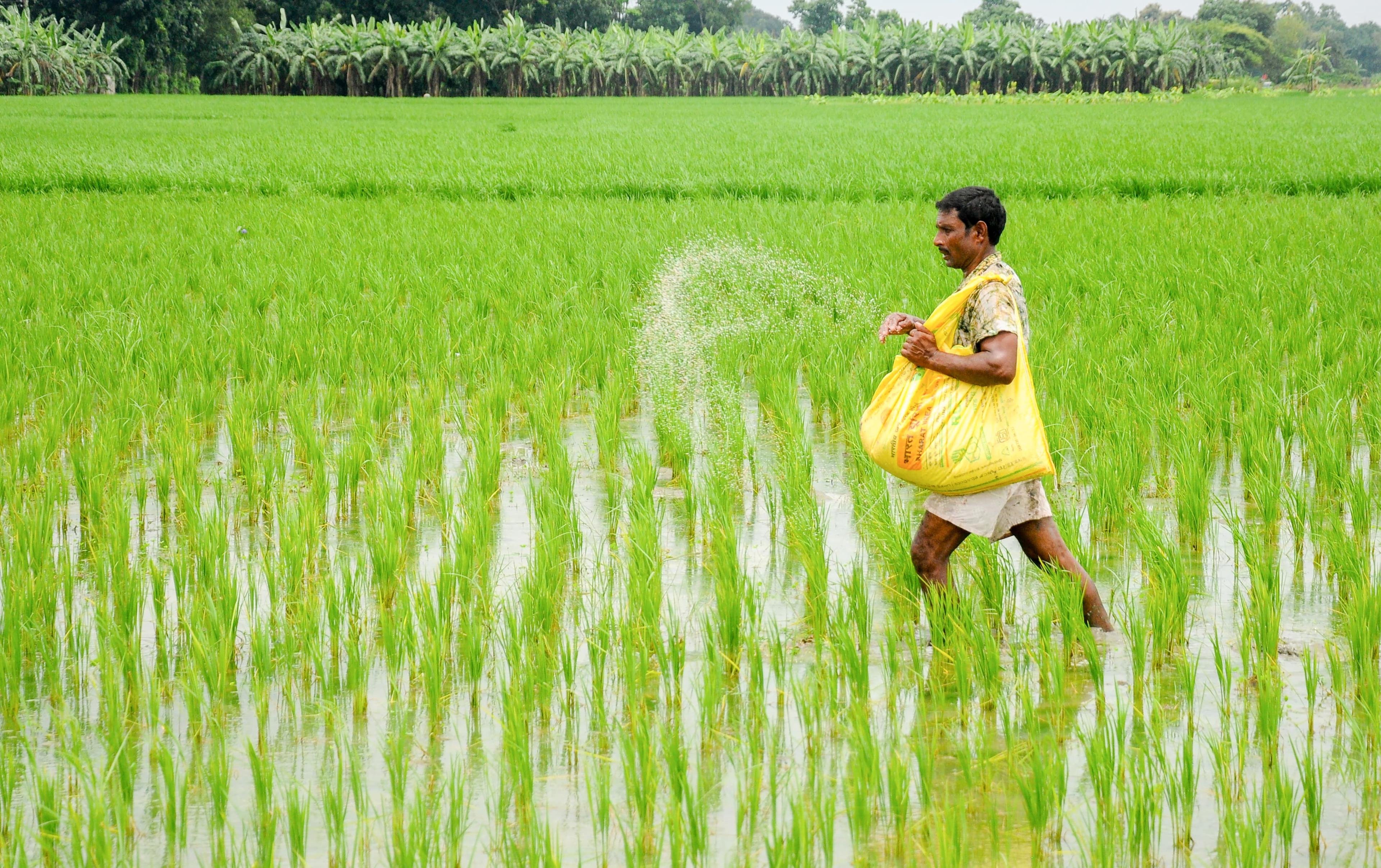 'No shortage of urea', Telangana Minister assures farmers