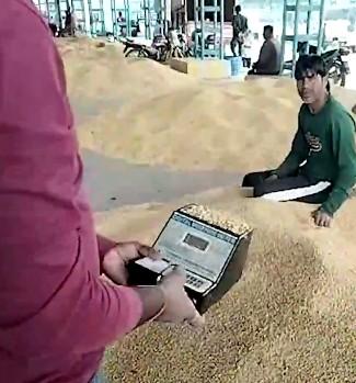 Madhya Pradesh: Bhavantar scheme brings relief to soyabean farmers