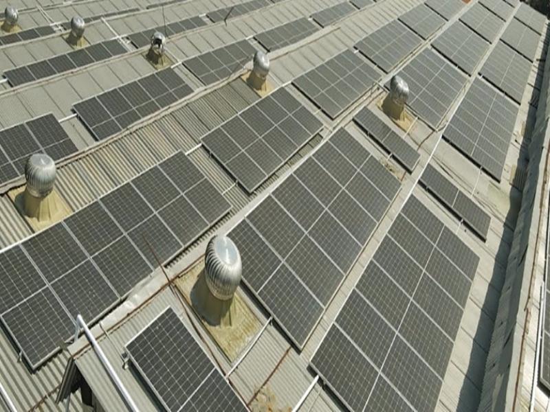 Renewable energy generation in India jumps to 17 pc in May: HSBC report