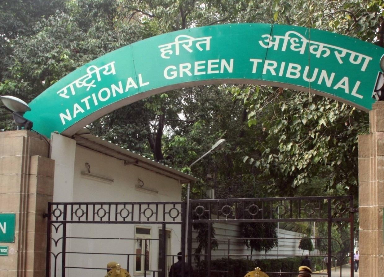 NGT takes suo motu cognisance of viral videos of garbage dump in Kasol forest