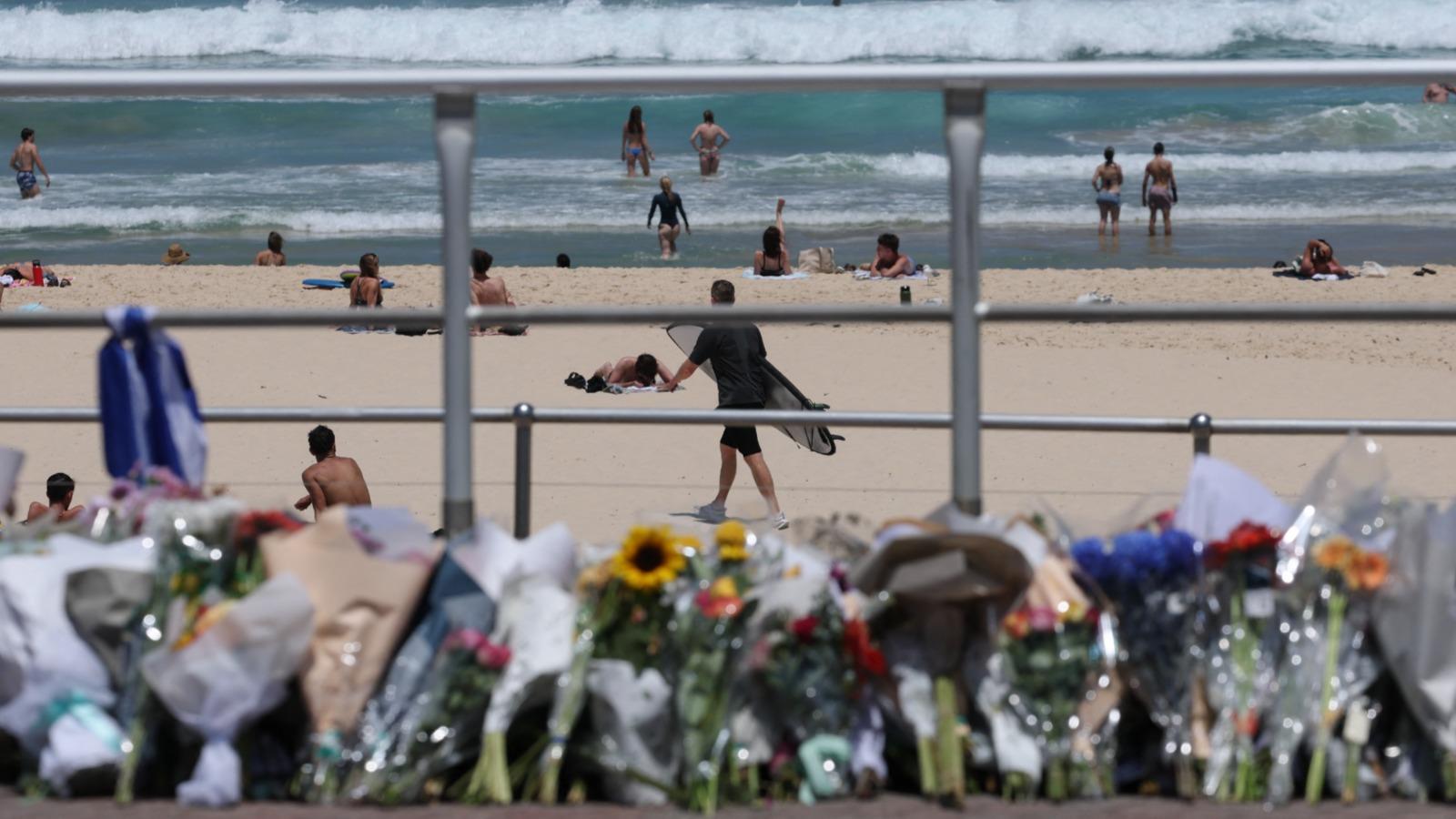 Australian PM announces terms for review into Bondi Beach attack