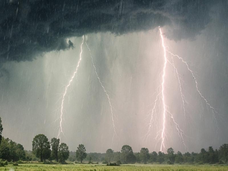 IMD warns of thunderstorms, hail across Madhya Pradesh till March 21
