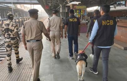 NCB Mumbai advances ‘Nasha Mukt Bharat’ with major drug seizures in 2025