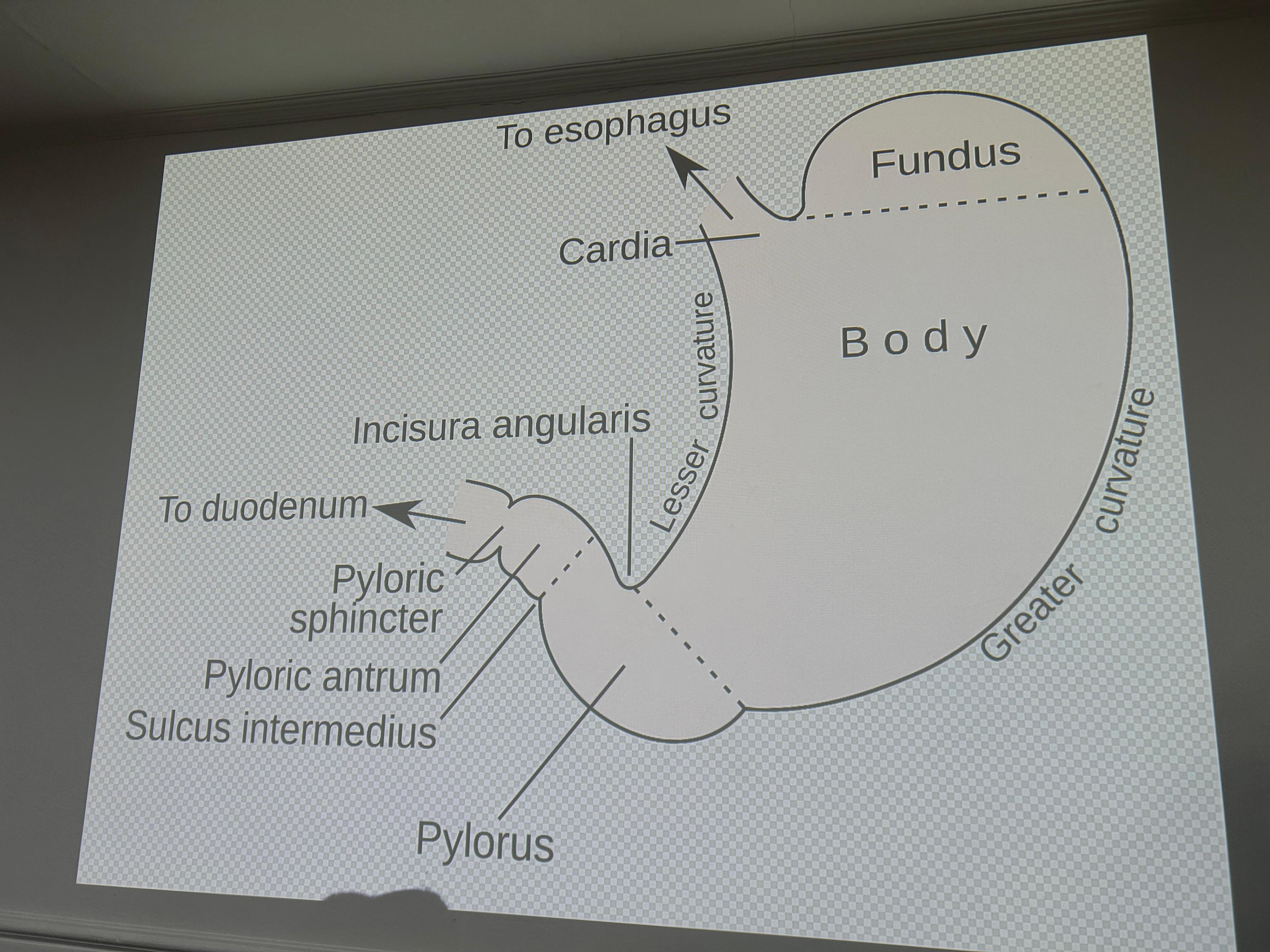 Metabolic surgery can help prevent organ damage, failure due to uncontrolled diabetes: AIIMS doctor