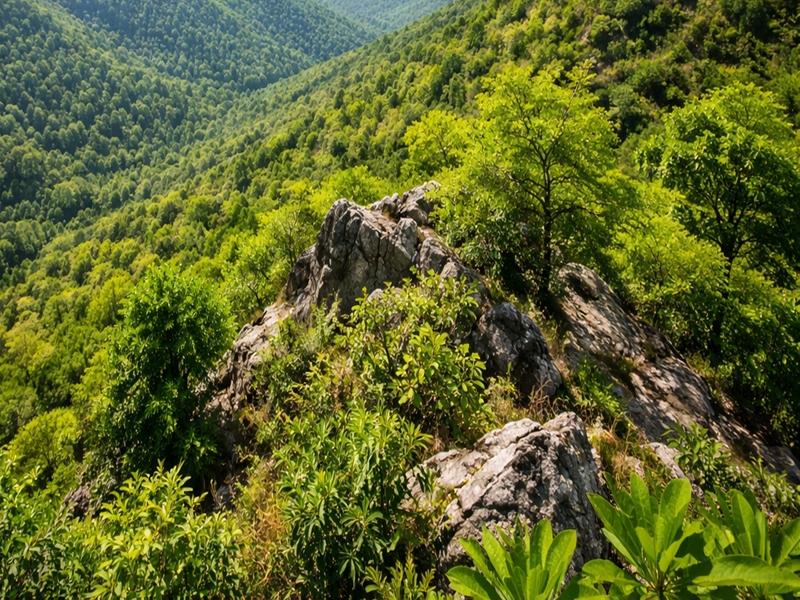 Explainer: No threat, no new definition given for Aravalli