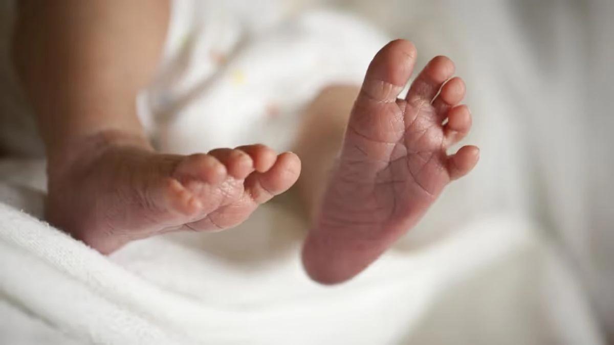 2.5-Day-Old Girl from Dehradun Becomes Youngest Organ Dono
