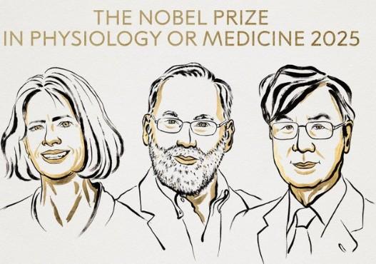 US, Japanese scientists awarded 2025 Nobel Prize for Medicine for discovery on immune system