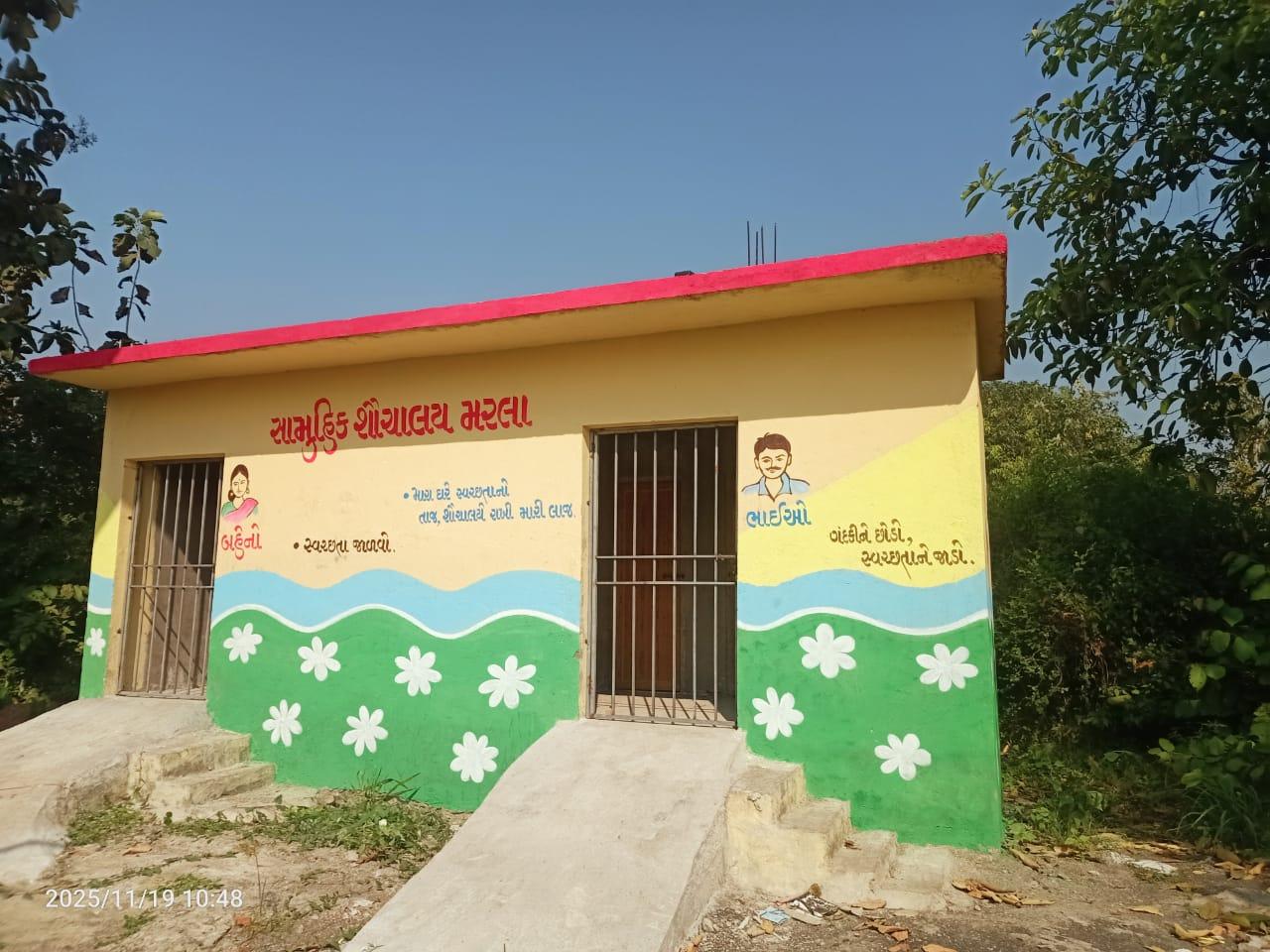 Gujarat marks World Toilet Day with awareness push, drive to repair village toilets