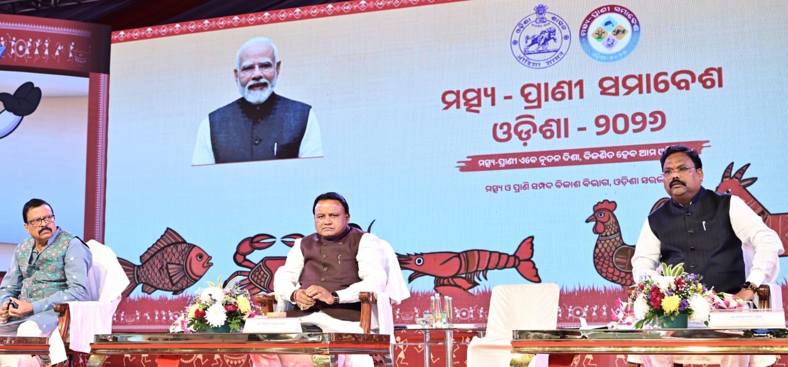 Odisha CM warns cattle smugglers, urges farmers to embrace dairy, fish and animal husbandry