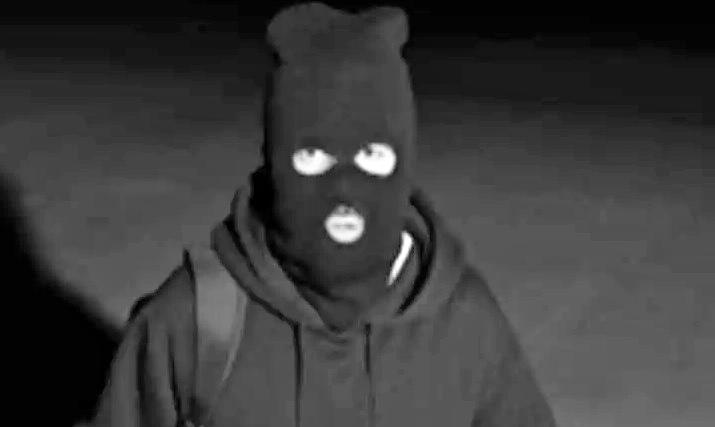 Theft at ex-K'taka DGP's Lucknow house; jewellery, cash stolen