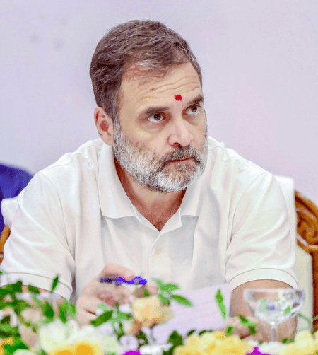 Ex-US official reacts to Rahul Gandhi, says leaders must prioritise Indian values