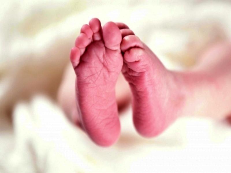 Gujarat records MMR of 51 per 1 lakh live births; ranks 5th among states: Official