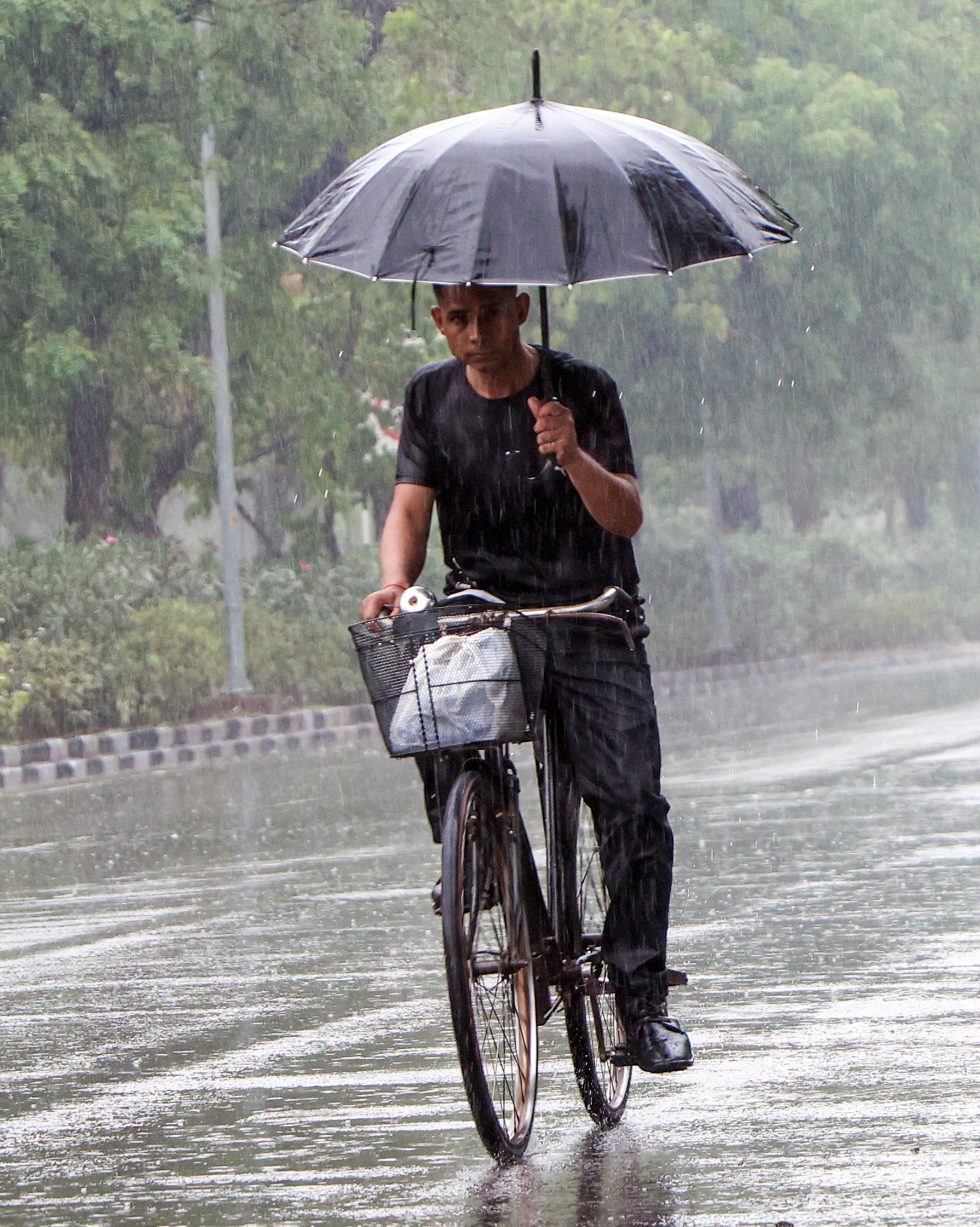 Gujarat records widespread showers, Borsad tops rainfall chart