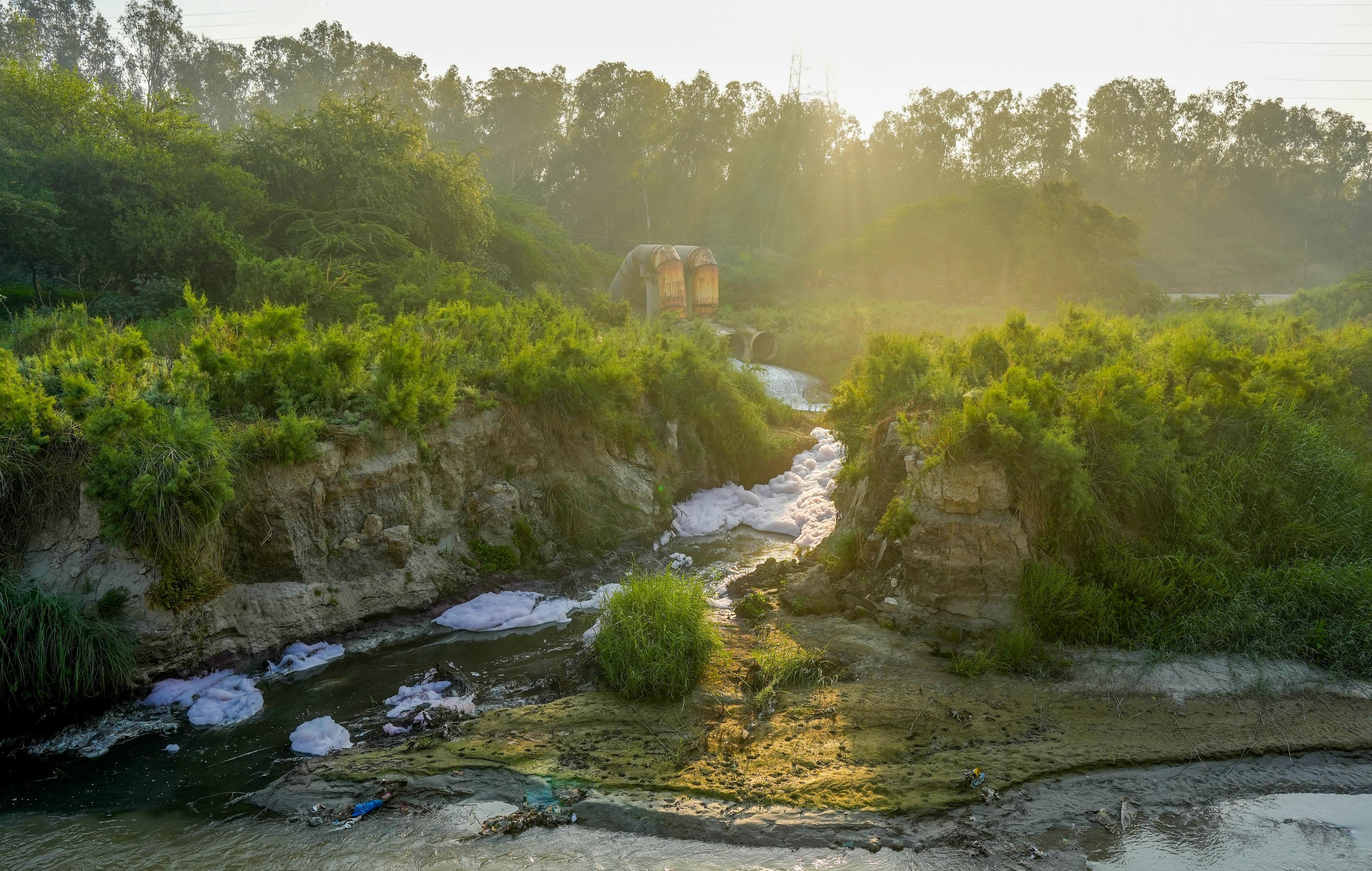 NGT takes suo motu cognizance of 'illegal' bleaching units in Haryana’s Panipat