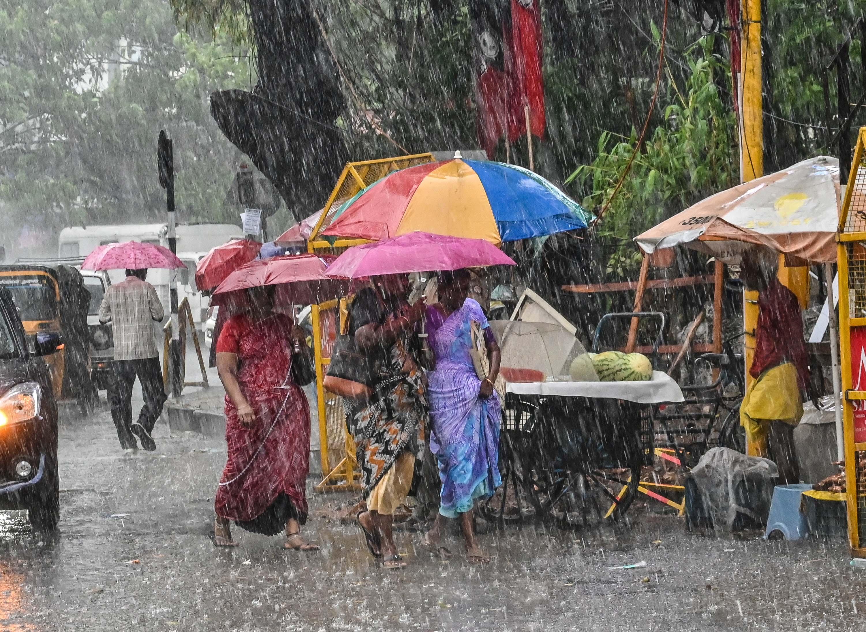 Heavy rain likely in 16 TN districts, IMD warns of intense showers till Oct 19