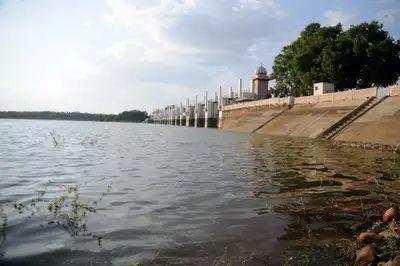 Unplanned urbanisation shrinks Chennai’s water storage, demand set to surge: Report