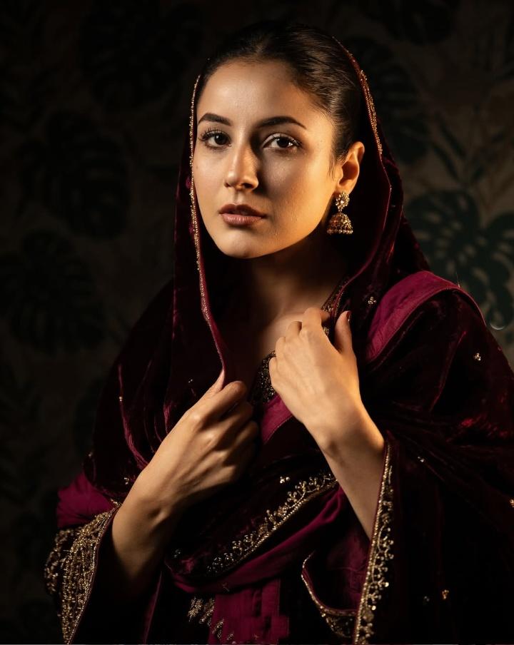 Shehnaaz Gill on ‘Ikk Kudi’: We have made this film especially for Punjab