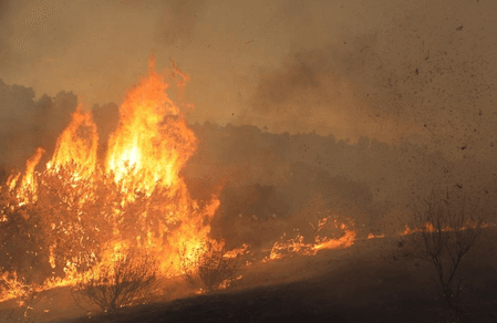 Wildfires burn over 30 per cent of Etosha National Park in Namibia