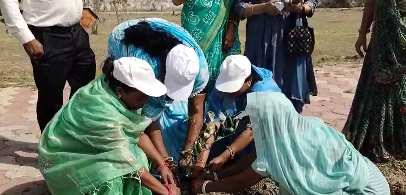 MP: Neemuch women lead environmental movement with support from DAY-NULM