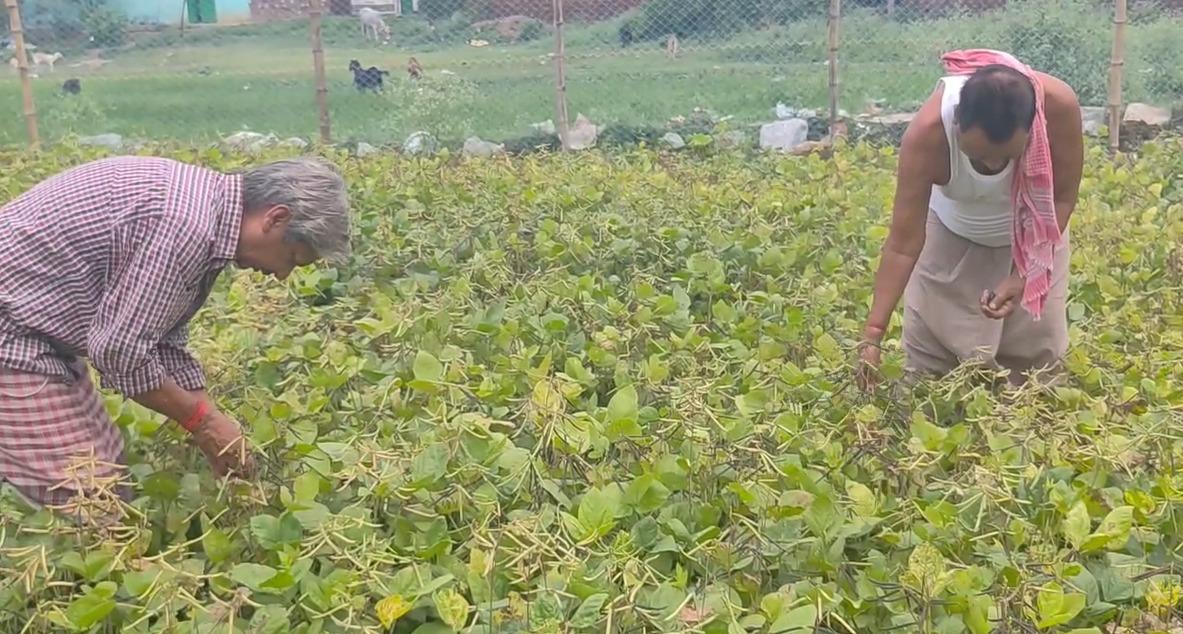 Bihar: Jamui farmers express satisfaction with PM-KISAN scheme