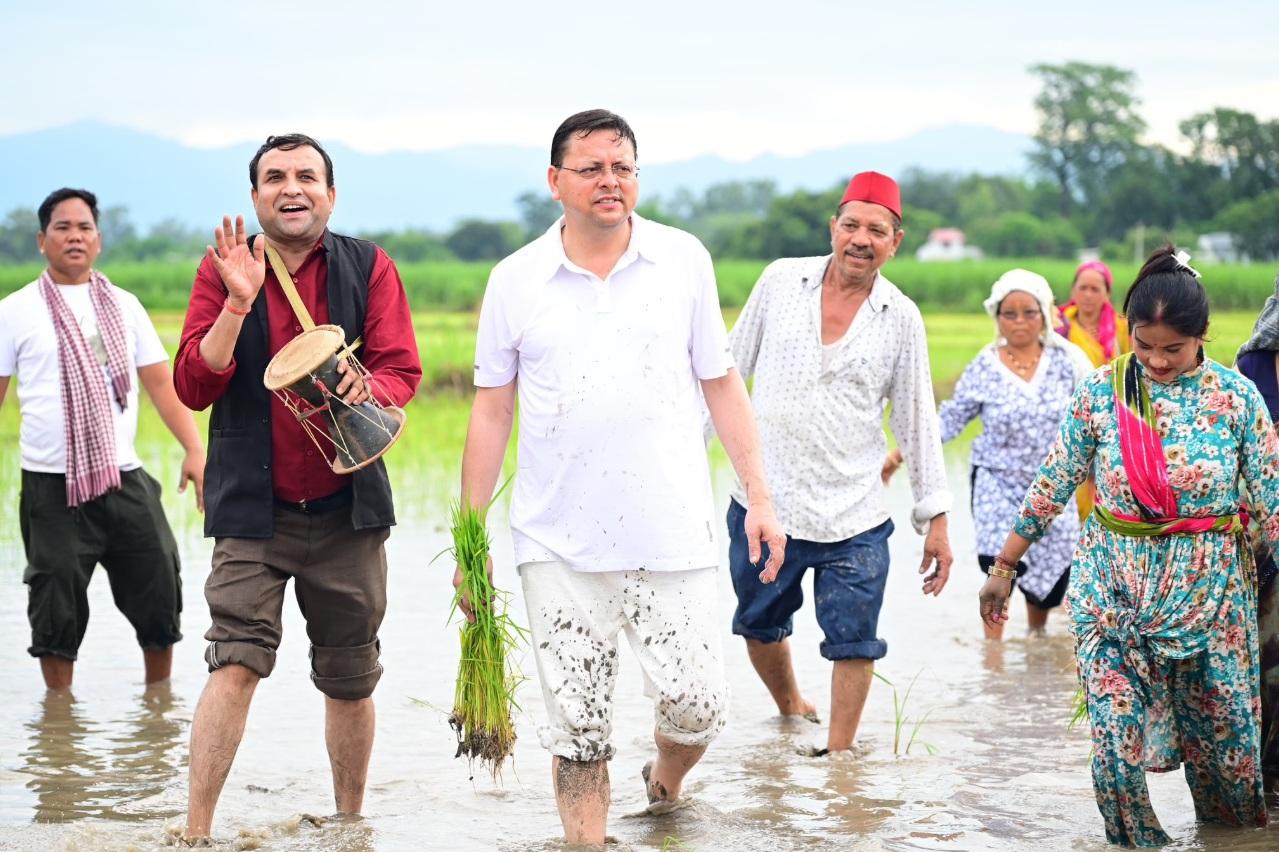 Uttarakhand CM Pushkar Dhami plants paddy in Khatima, pays tribute to hard work of farmers