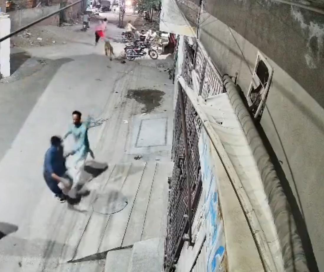 Pakistan: Man arrested after illegal 'pet' lion escapes, injures three people