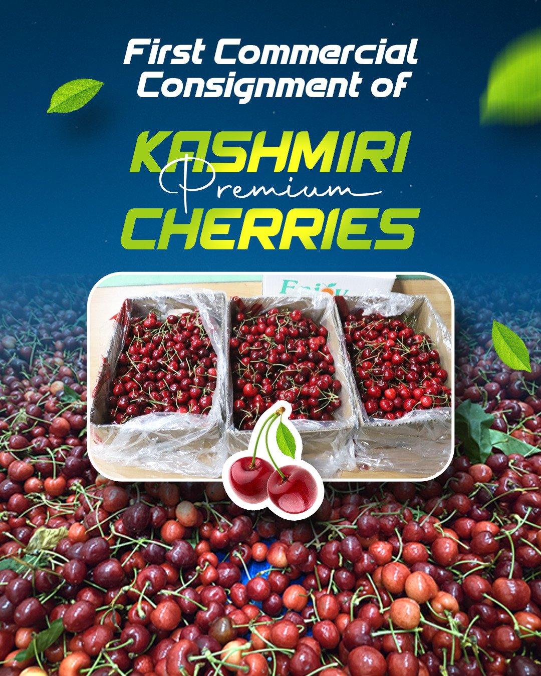 1st commercial consignment of premium cherries heads to Saudi Arabia, UAE: Piyush Goyal