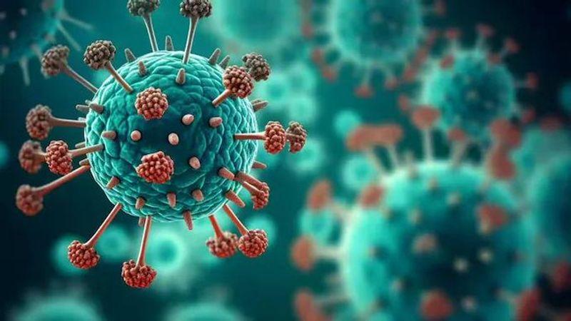 Two Stable Cases of Human Metapneumovirus Detected