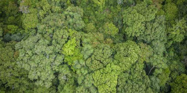 National Biodiversity Authority shares Rs 17 lakh benefit with BMC