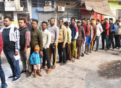 MCD by-elections to be held in 12 wards today, results on Dec 3