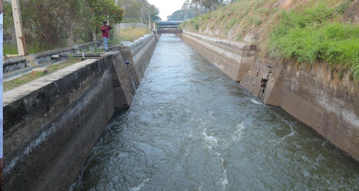 TN: PAP canal breach delays water release, farmers demand quick action