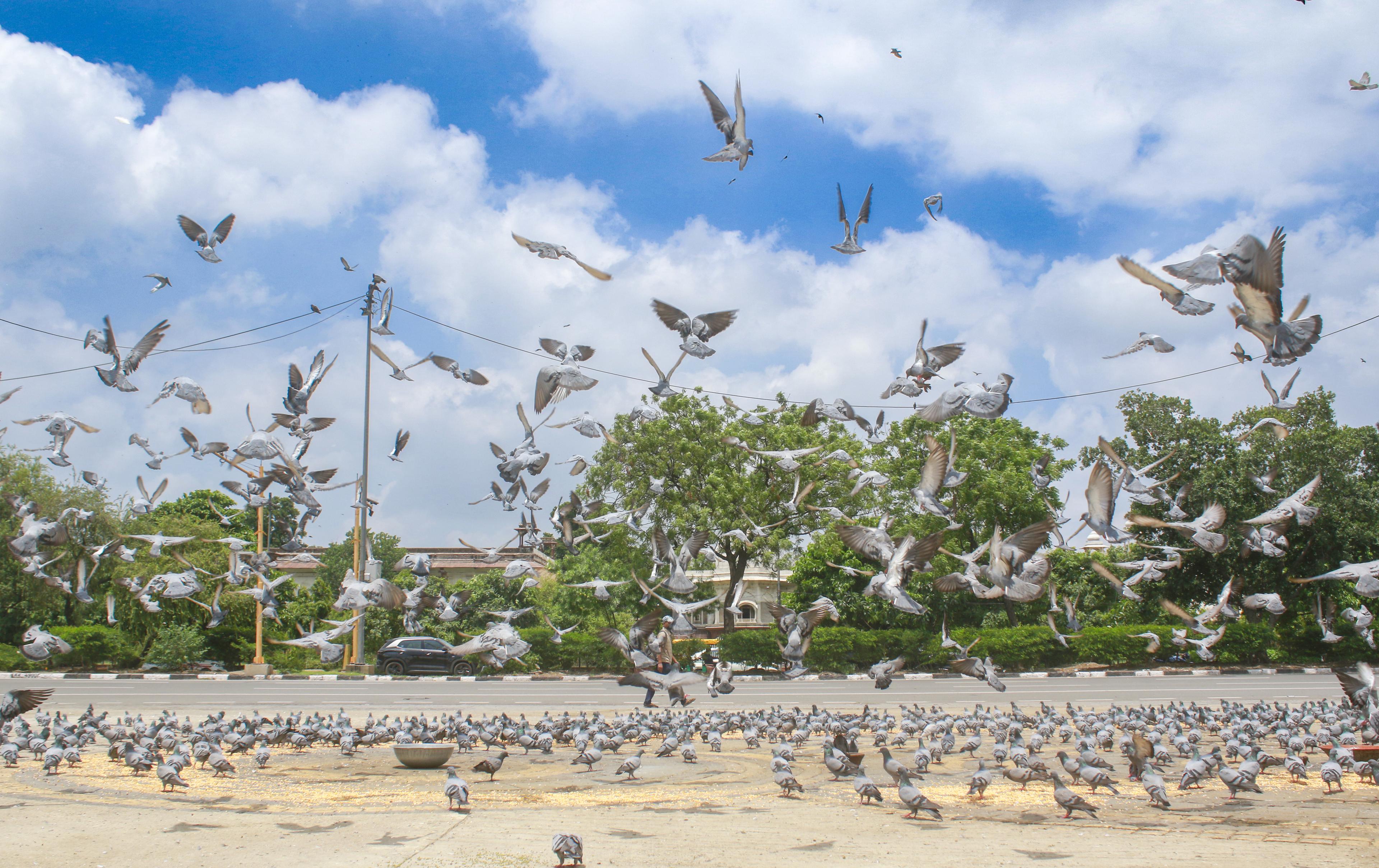 Delhi's air quality improves after rainfall, AQI in 'satisfactory' category