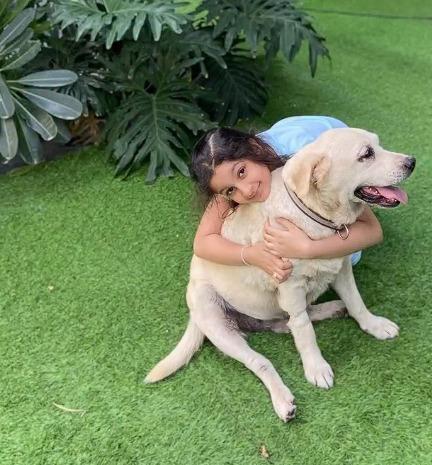 Namrata Shirodkar mourns the sad demise of her first ‘little big baby'