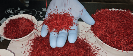 J&K residents joyous, hopeful of high demand after PM Modi gifts Kashmiri saffron to Putin