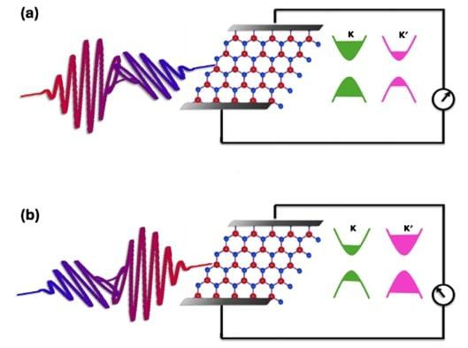 Single light pulse can control quantum states in 2D materials: IIT Bombay