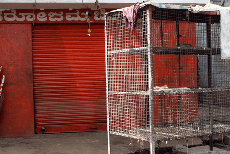 TN steps up surveillance after bird flu outbreak in neighbouring Kerala