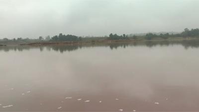 Three siblings drown while bathing in pond in MP village