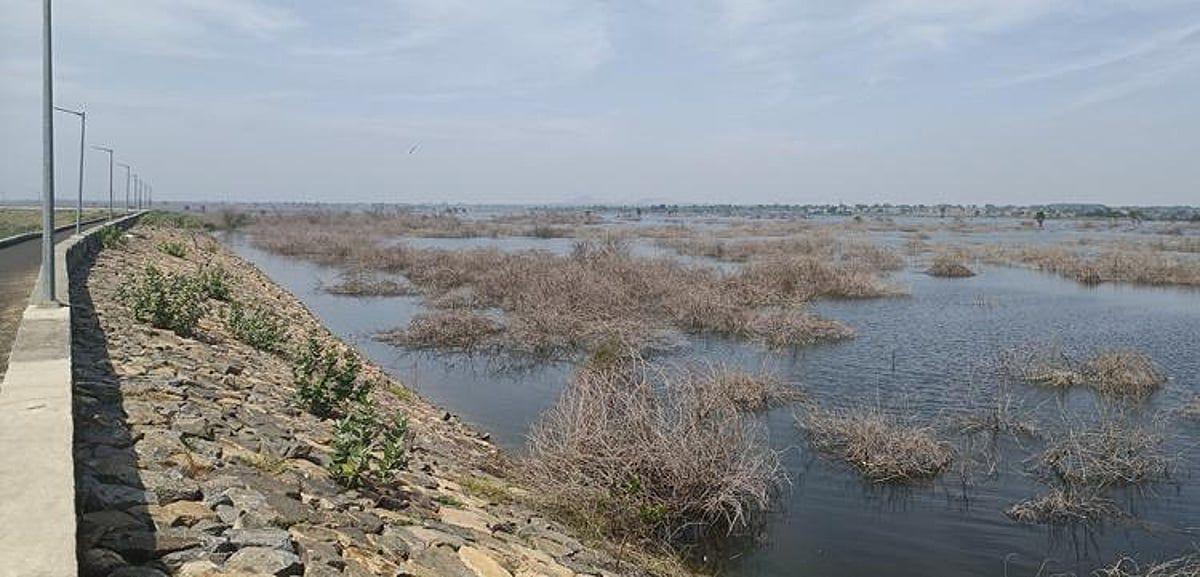 Delayed Marudaiyaru dam emerges as key election issue in TN's Perambalur